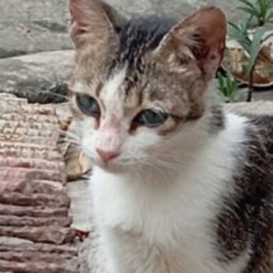 Profile photo of Darryl