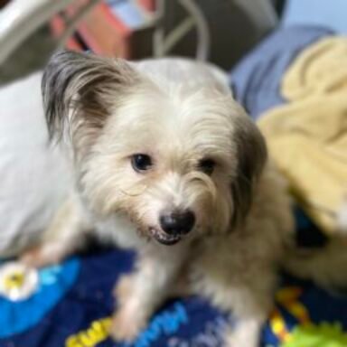 Profile photo of Ma. Ann